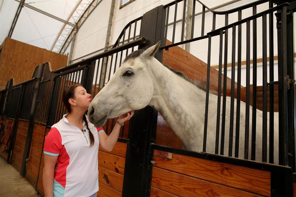 Ką daryti, jeigu susirgo žirgas arba perspektyvi kryptis būsimiems veterinarams
